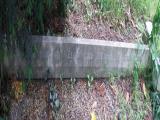 image of grave number 320672